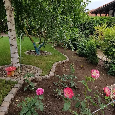 Staliovata House Guest house *